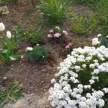 Apartamento Istra Koper