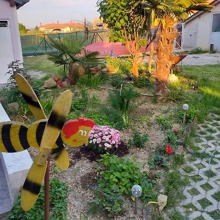 Istra 科佩尔