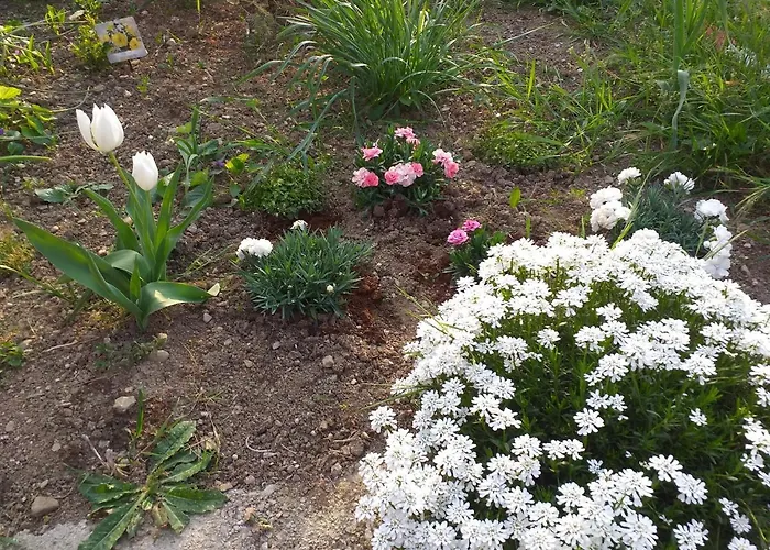 Lejlighed Istra Koper